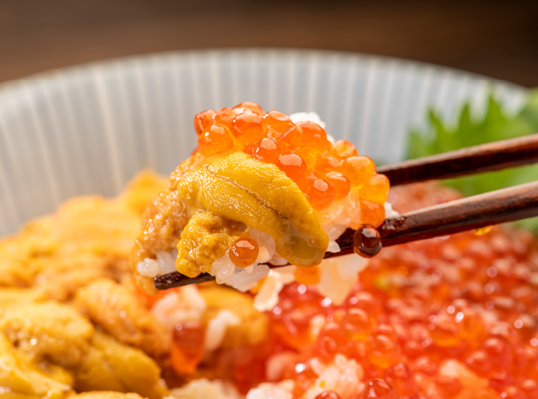 新鮮なウニなど魚介類を楽しめます